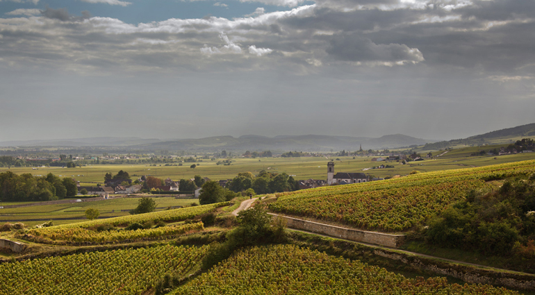 Domaine Cyrot-Buthiau