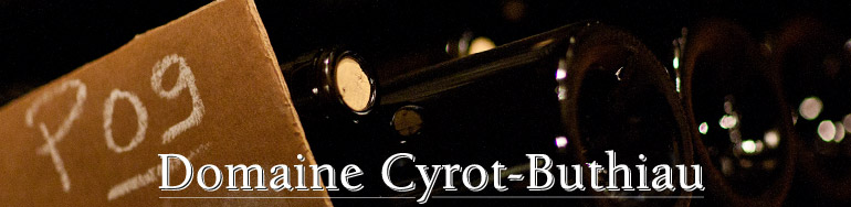 Domaine Cyrot-Buthiau