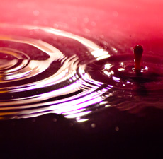 Goutte de vin sous le pressoir - Domaine Cyrot-Buthiau